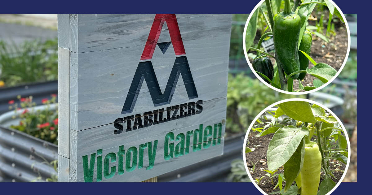 AM Stabilizers Victory Garden 2025